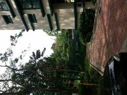 Meralodge (D23), Condominium #594882